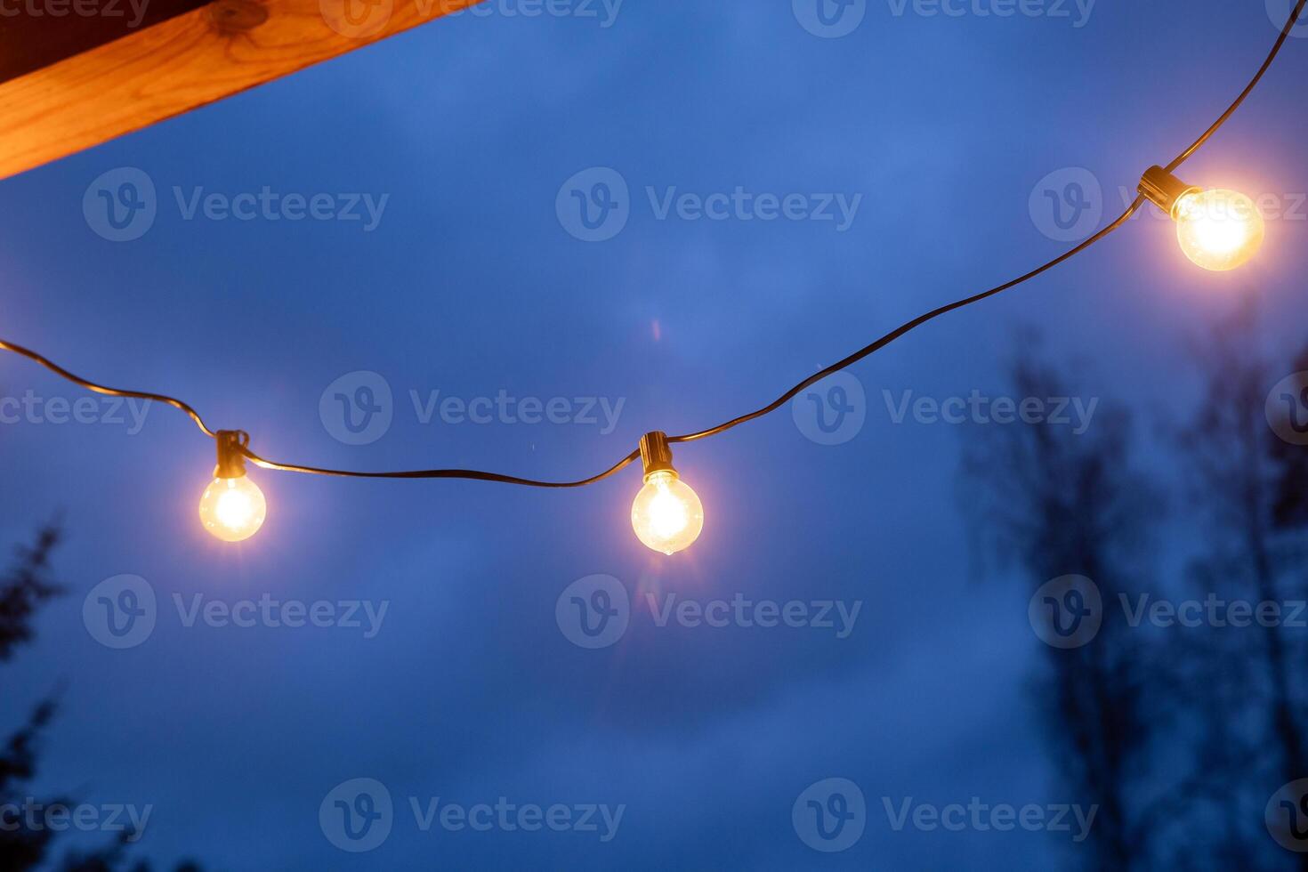 Warm LED String Lights Against a Deep Blue Evening Sky photo