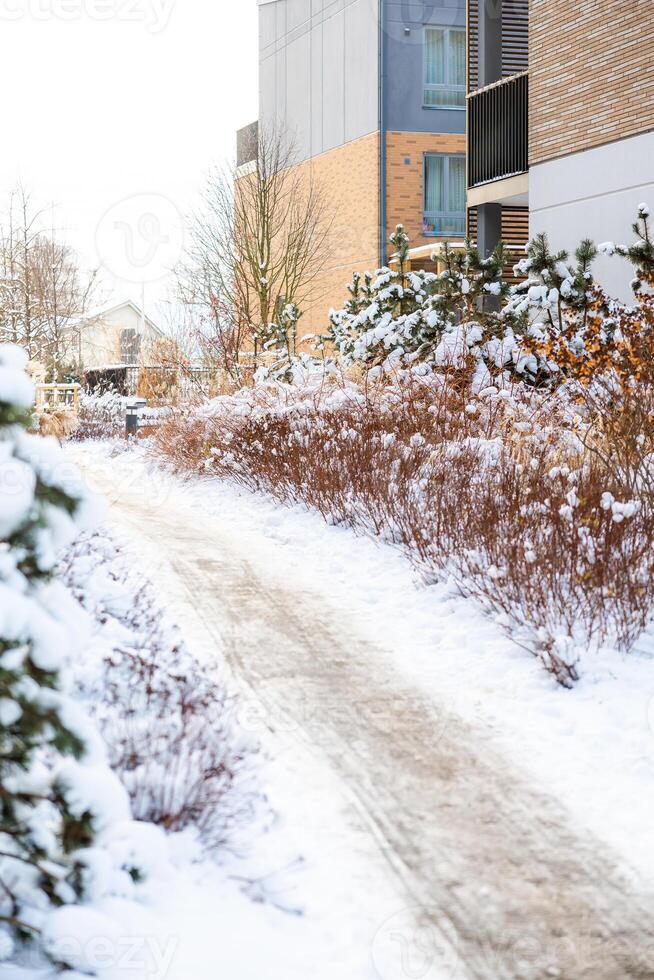 Snow Covered Pathway with Modern Building and Bare Trees photo