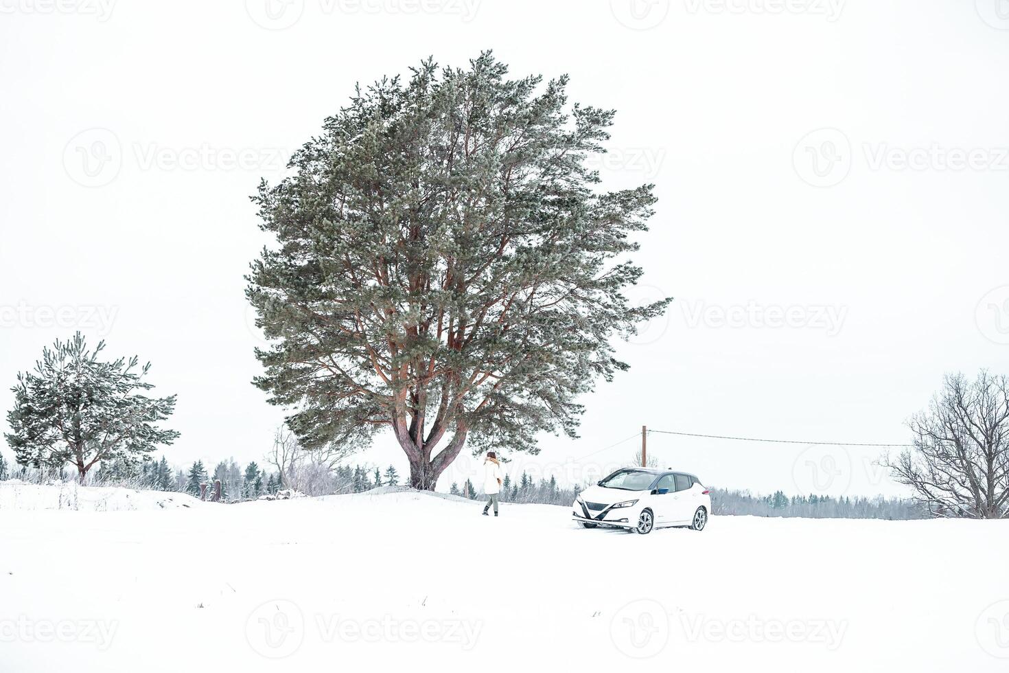 Large Tree in Snowy Landscape with Car and Sparse Forest Background photo