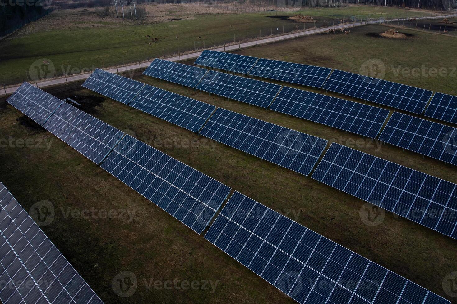 Solar Panels in Systematic Layout on Grassy Field with Fence photo