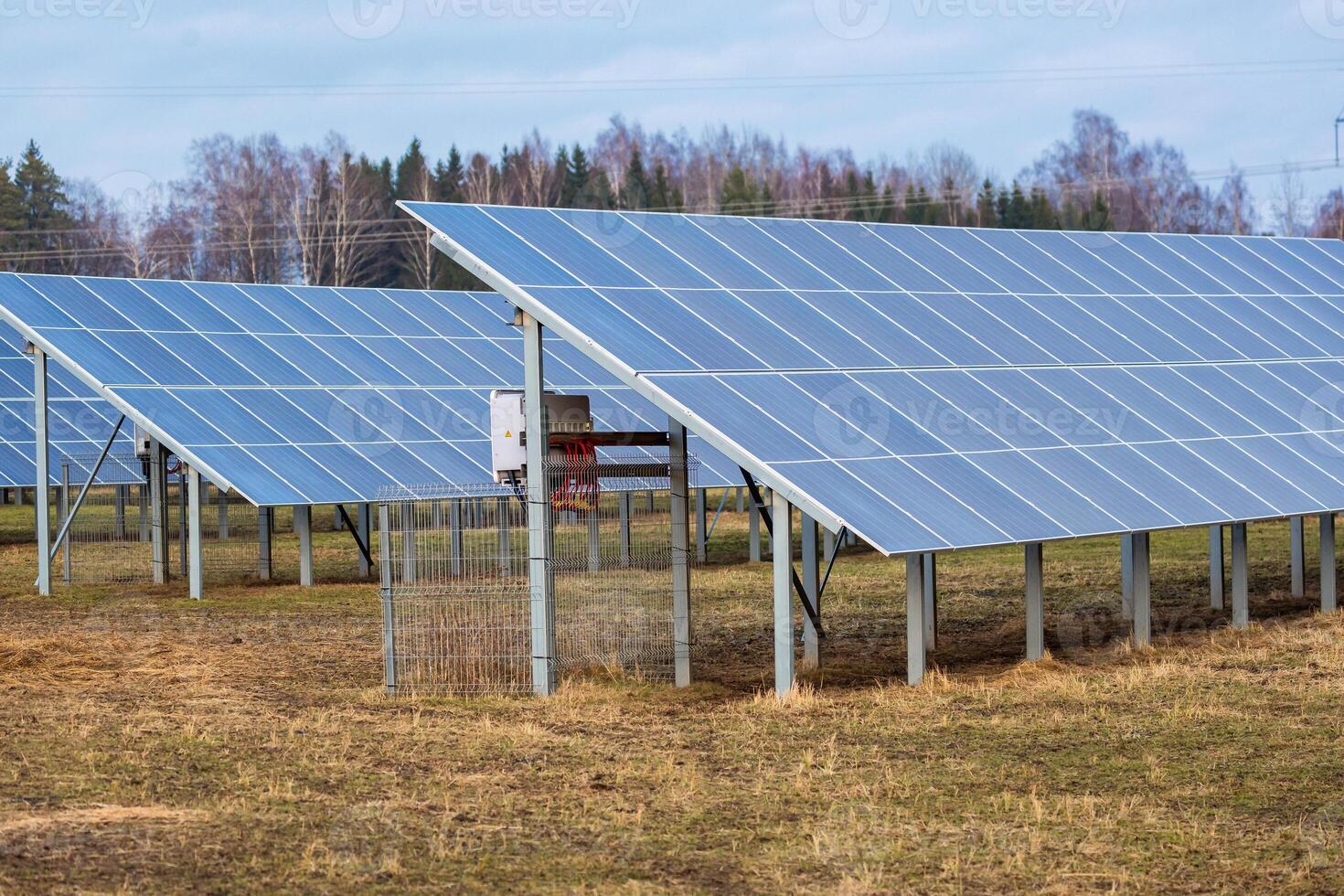 Solar Panels in Open Field with Forested Background in Cold Season photo