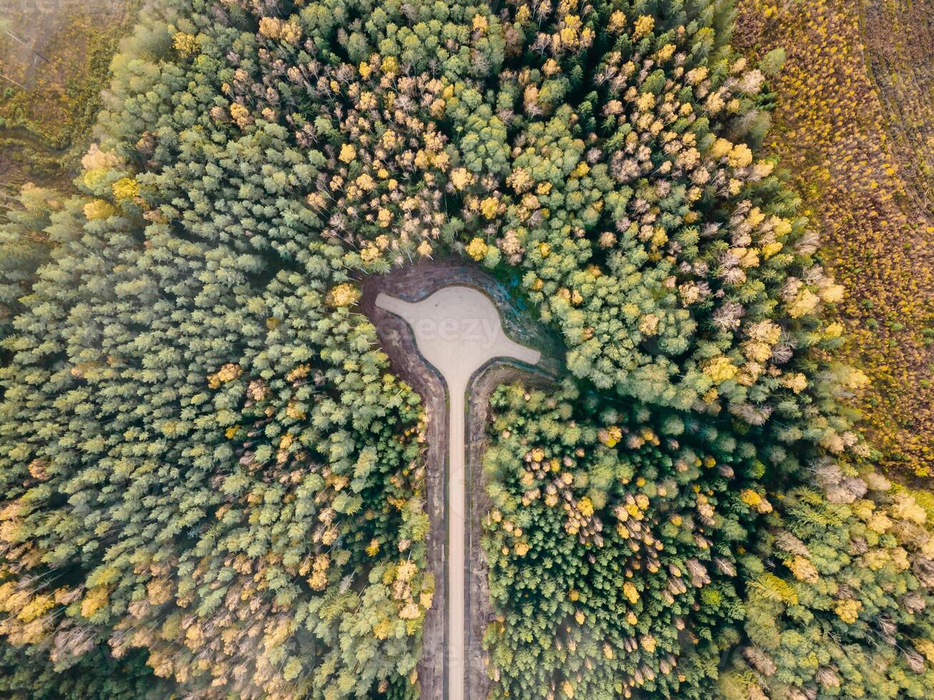 Aerial View of Forest with Keyhole Shaped Clearing and Path photo