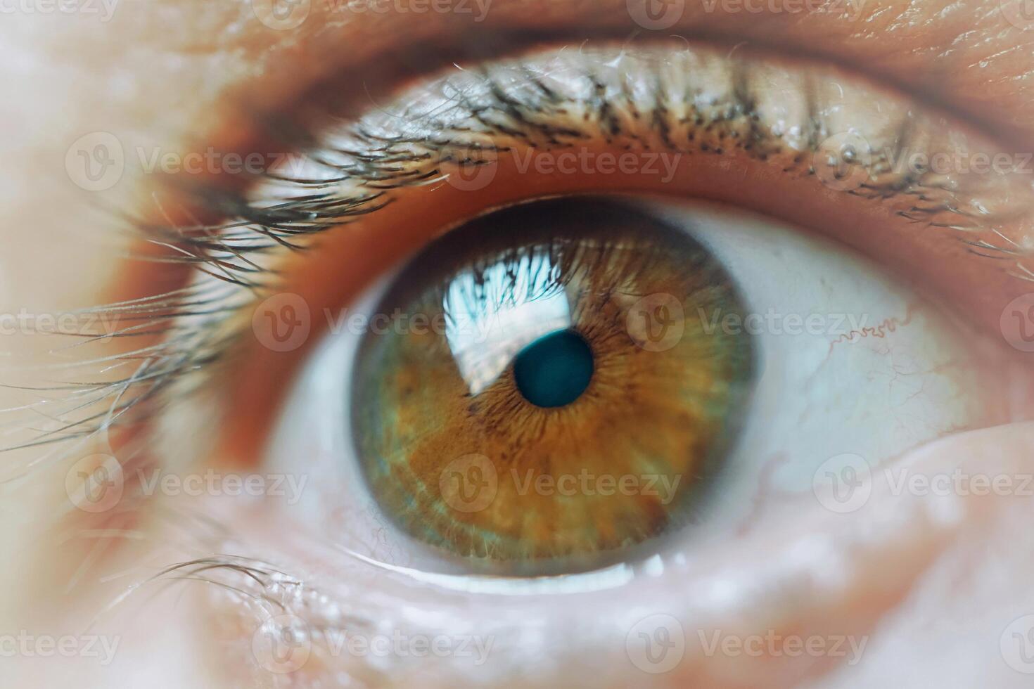 man eye looking at camera, a brown eye photo