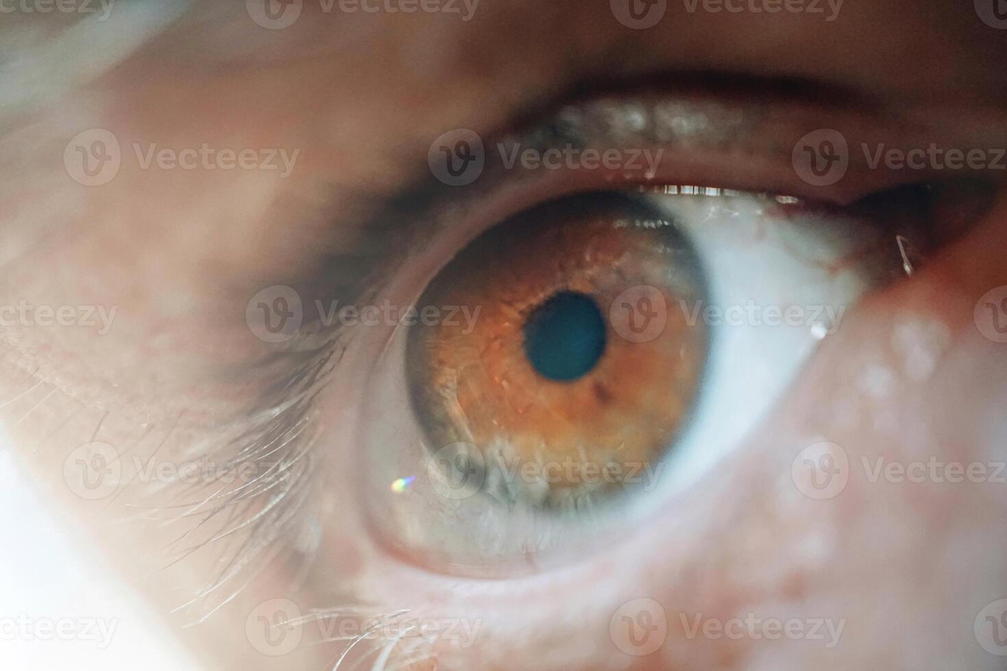 man eye looking at camera, brown eyes photo