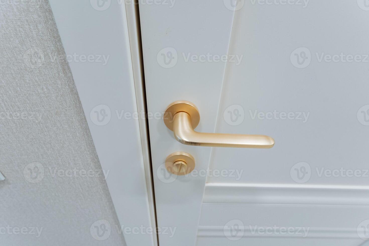 This captivating image features an elegant door handle on a pristine white door, highlighting its intricate design that enhances the homes grand entrance and makes it stand out photo