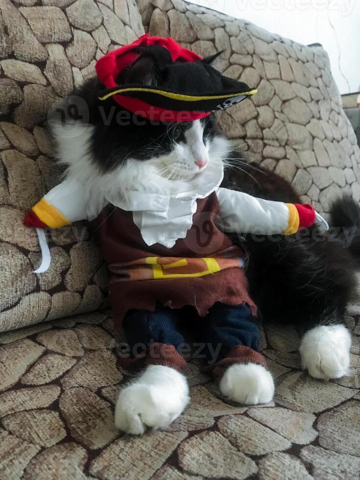 A playful cat wearing a pirate costume, complete with a tiny hat, is comfortably perched on a cozy couch, ready for a day of adventure and mischief in its imaginative world photo