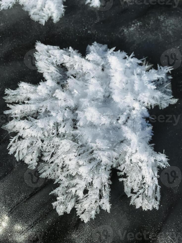 A detailed close up view of a single snowflake resting gracefully on a smooth black surface, highlighting its unique structure and delicate beauty against the dark backdrop photo