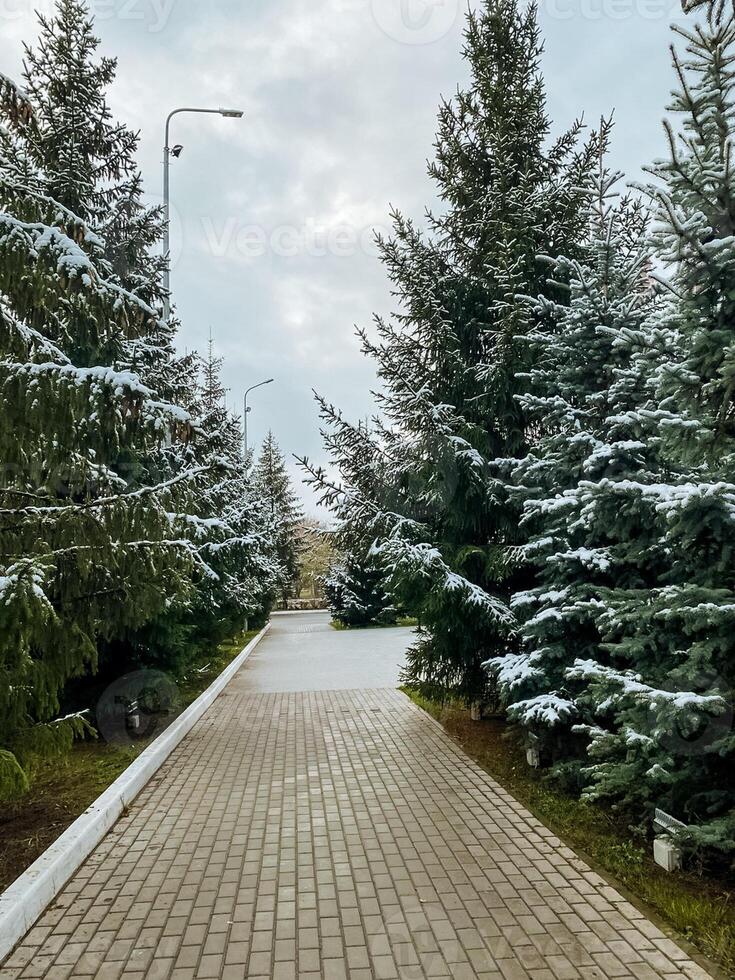 A beautiful brick walkway is gracefully nestled amidst trees blanketed with a soft cover of snow, creating a picturesque scene in a tranquil park during the winter season photo