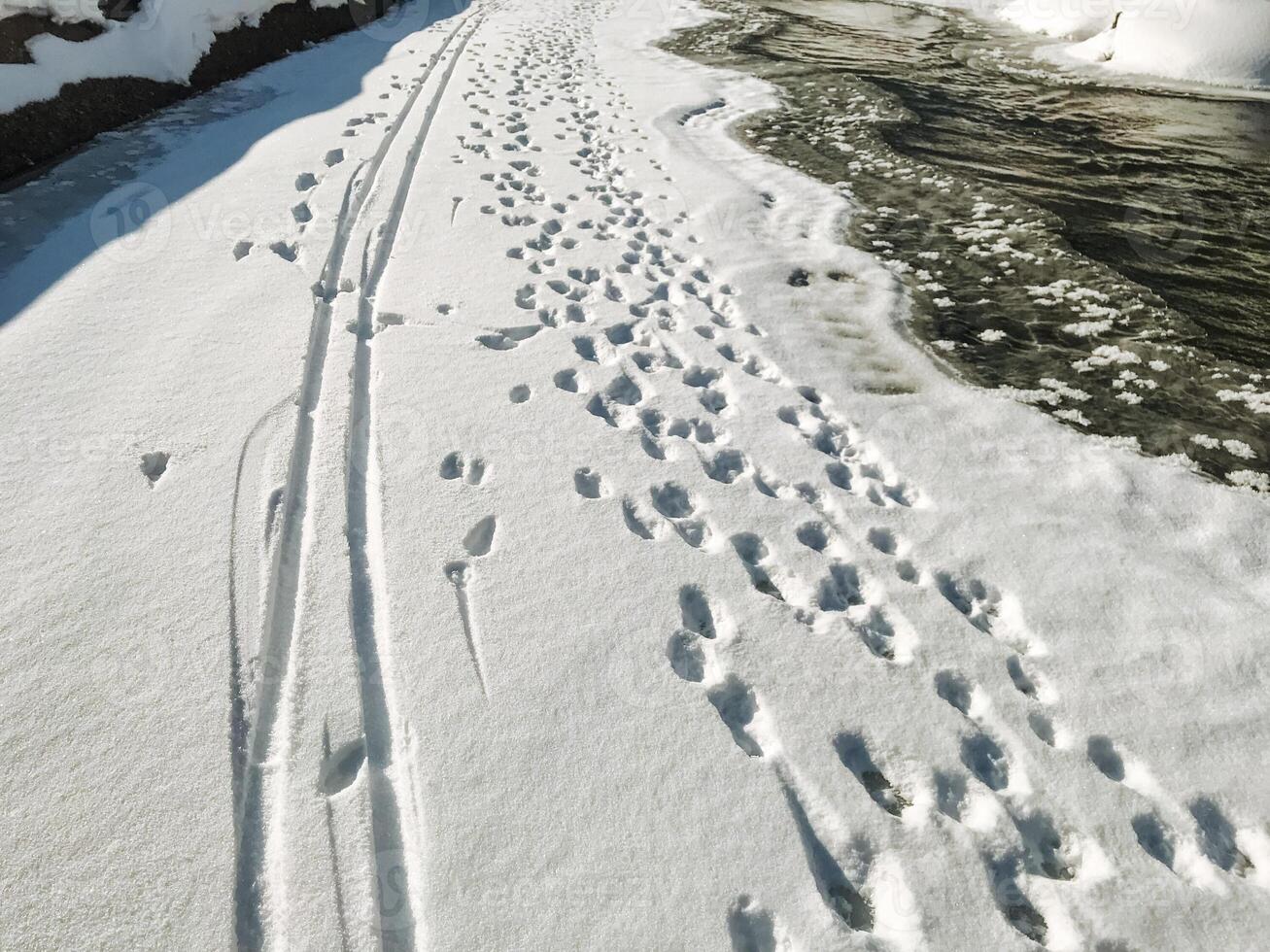 A snowy road with tire tracks in the snow photo