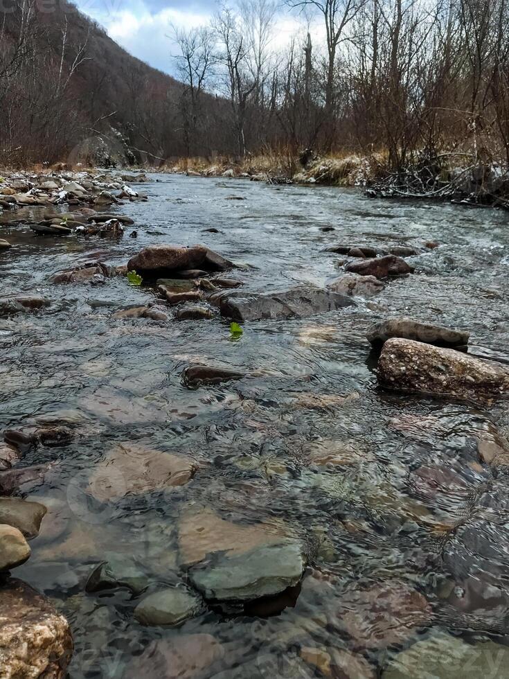 A river meanders gracefully through a rugged rocky area, surrounded by tall, lush trees that provide a beautiful backdrop, enhancing the breathtaking natural scenery of the wilderness photo