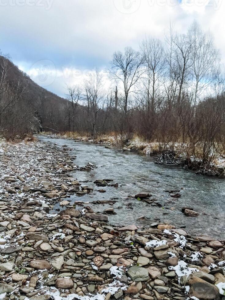 A beautiful river is gracefully flowing through a rocky area, with an array of trees majestically standing in the soft background, creating a picturesque natural setting for all to admire photo