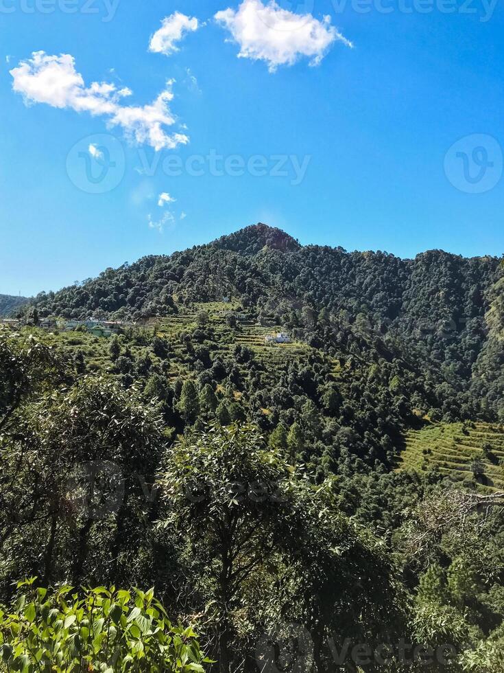 A majestic mountain that is fully covered in lush green trees, beautifully contrasting with a clear blue sky that serves as a stunning backdrop to this picturesque scene photo
