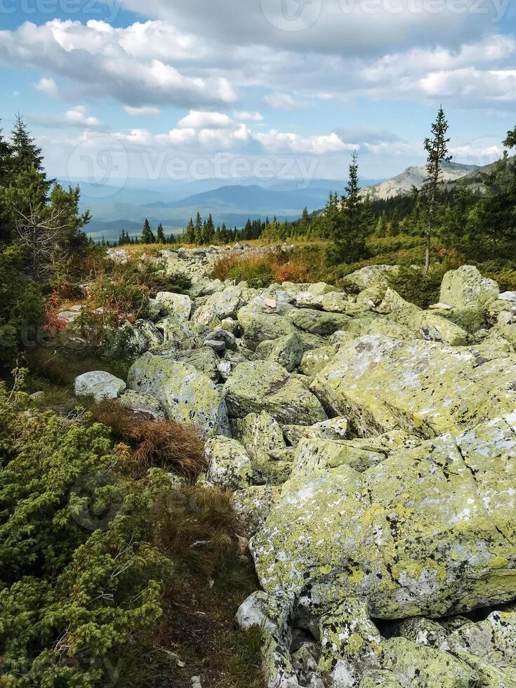 A rugged and rocky landscape that features a variety of trees scattered throughout, with majestic mountains towering in the background, creating a picturesque natural scene photo