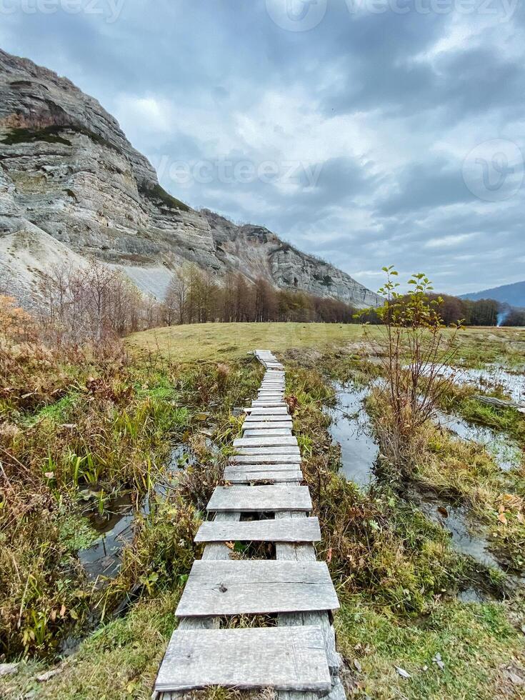 A beautifully crafted wooden walkway winding its way through a lush and vibrant grassy field, with majestic mountains towering in the background, creating a stunning natural landscape photo