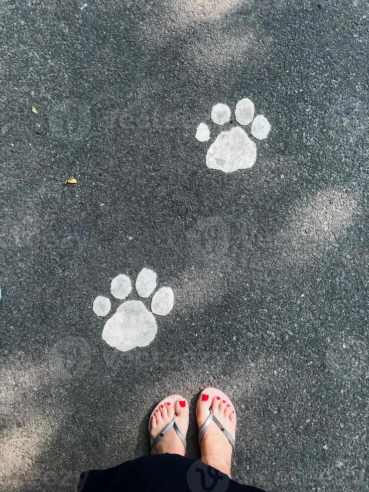 A cheerful and vibrant person wearing colorful flip flops stands beside adorable paw prints on the ground, creating a delightful contrast with the stunning natural beauty surrounding them photo