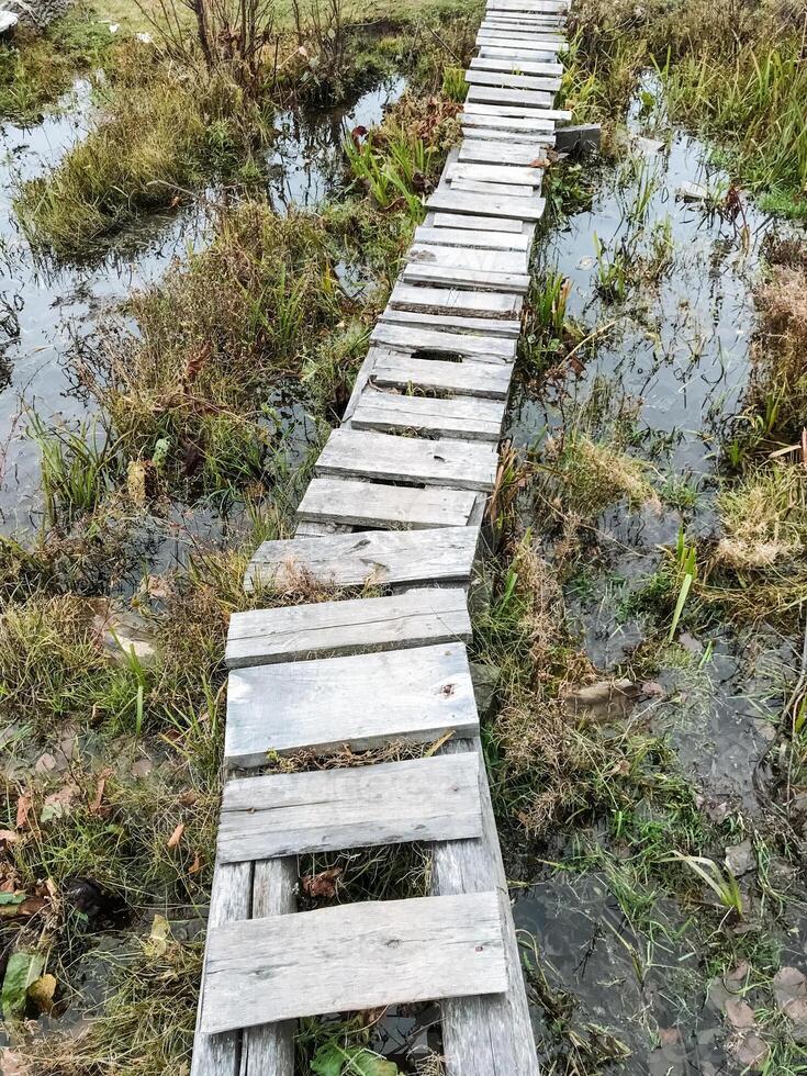 There exists a wooden bridge that gracefully spans across a swampy area situated in the heart of a vast, open field, providing a perfect path for walking and exploring nature around it photo