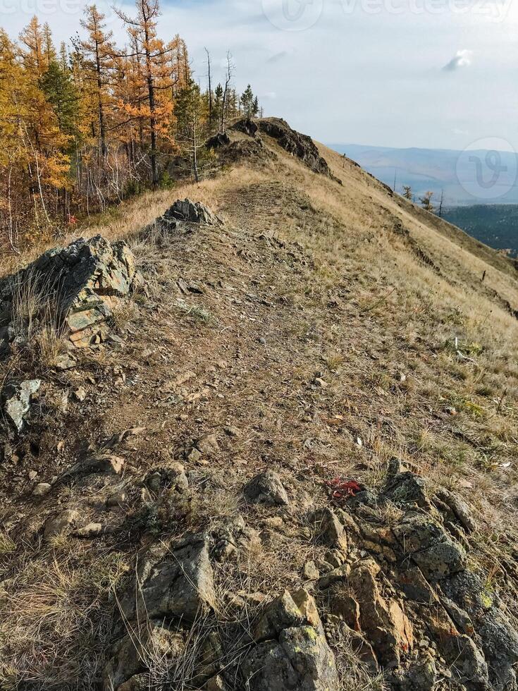 A scenic, rocky hillside featuring numerous trees growing along its slopes, creating a beautiful natural landscape that showcases the unique geological characteristics of the area photo