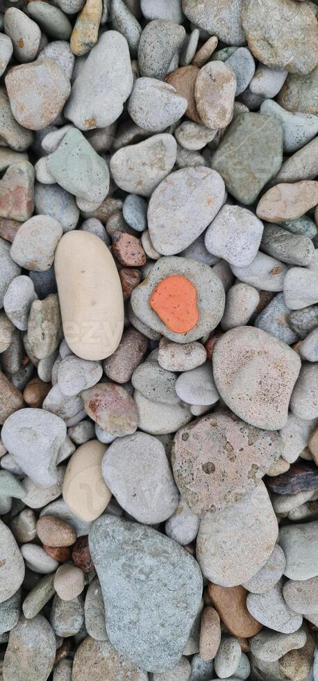 One red stone on the grey stones photo