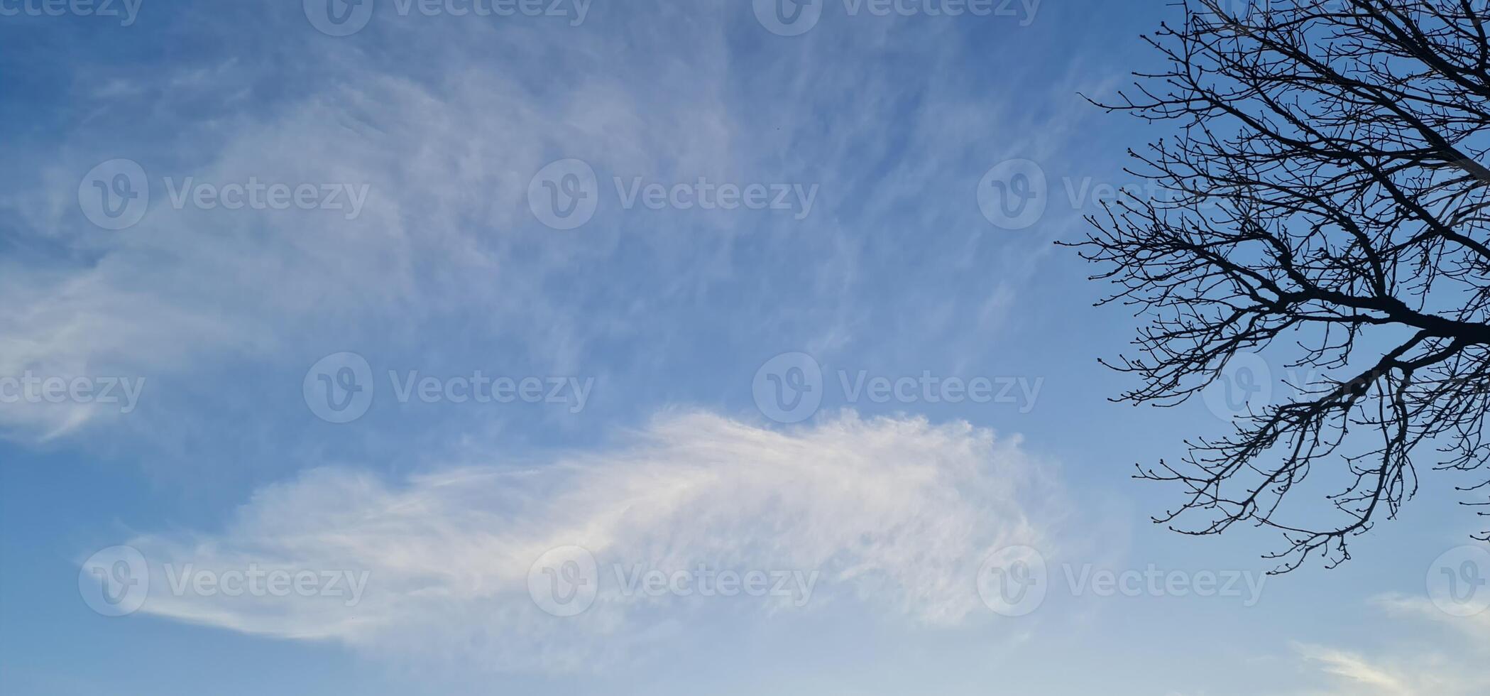 Cloud like feather on blue sky photo