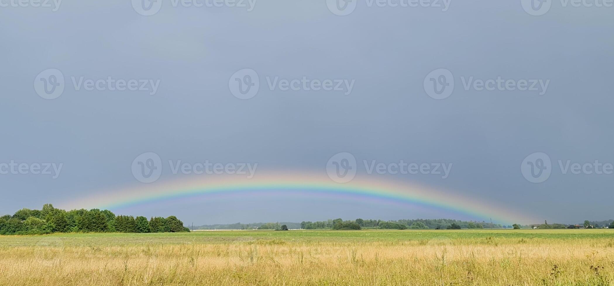 Yellow field with beautiful rainbow photo