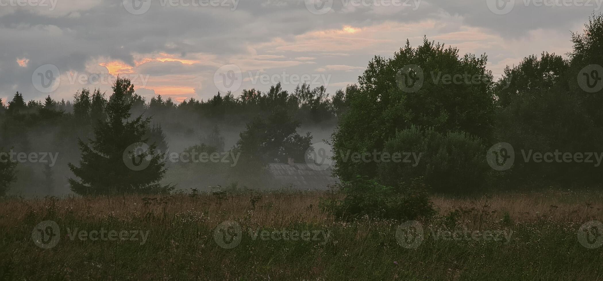 Evening fog in the forest and abandoned house photo