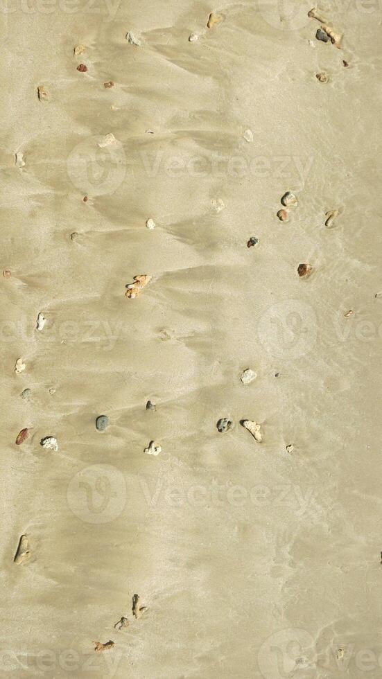 A lot of small corals on the sand. View from the top photo