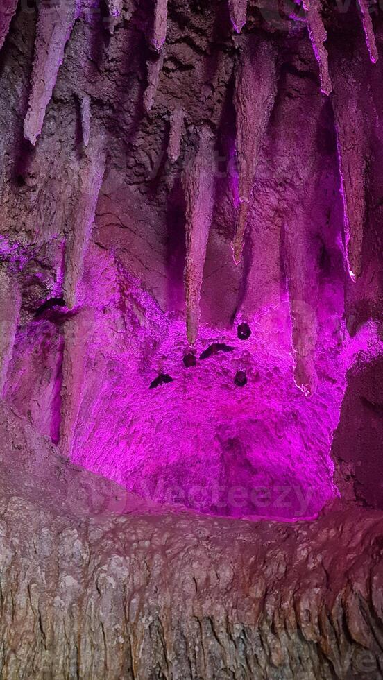 Bats are in the cave photo
