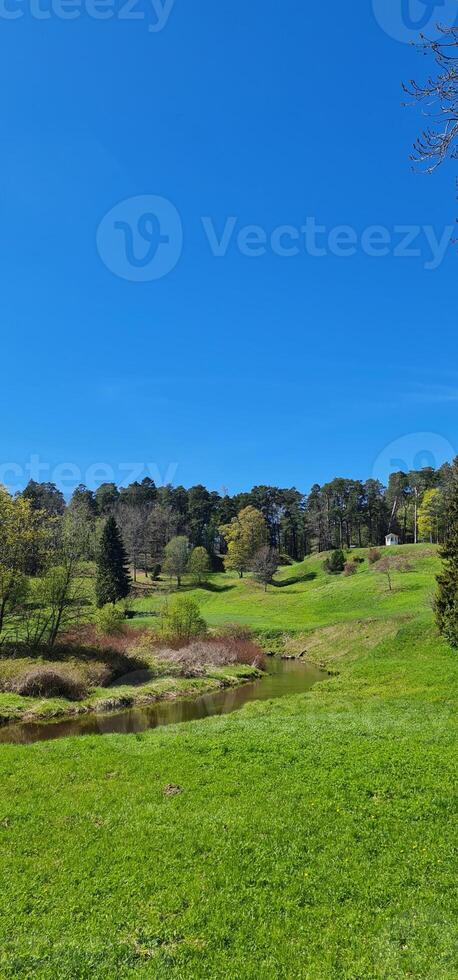 Beautiful vertical landscape with small river photo
