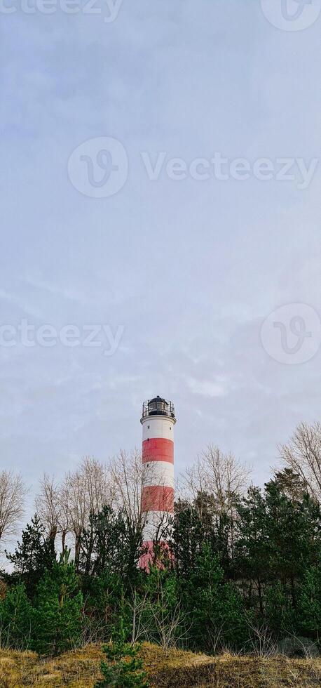 Vertical photography with lighthouse on background photo