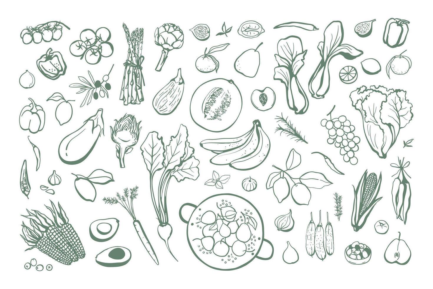 Hand drawn fruits and vegetables set. Collection of vegan food sketch illustrations vector