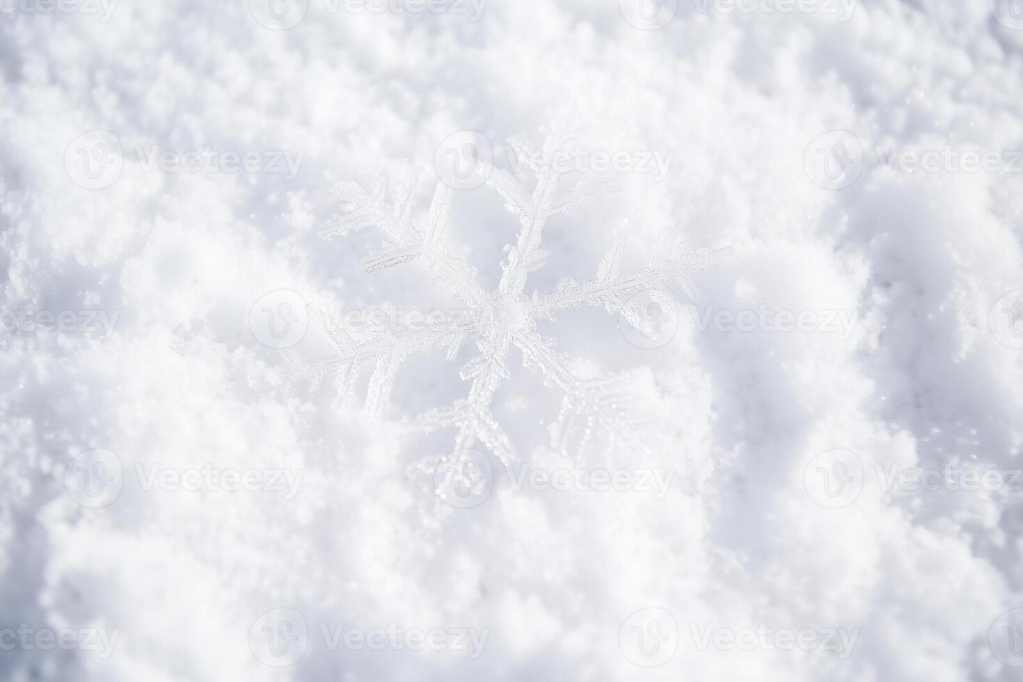A single delicate snowflake rests gently on a pristine blanket of fresh snow. photo