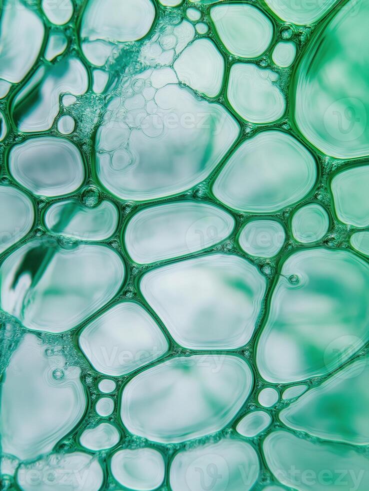 Teal and white cellular structure creates an intriguing abstract background texture. photo