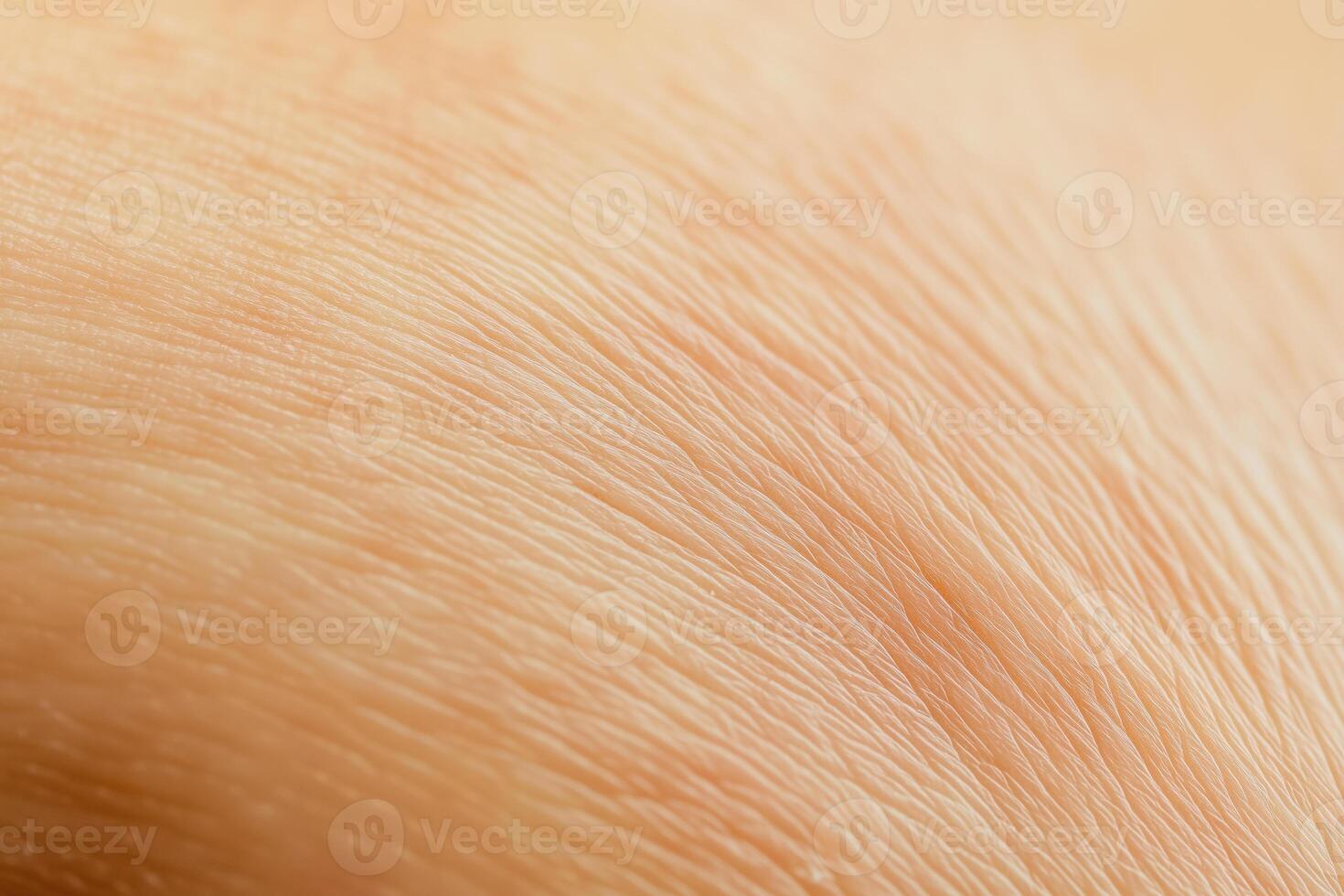 Intricate patterns and textures of human skin are displayed in this close-up. photo