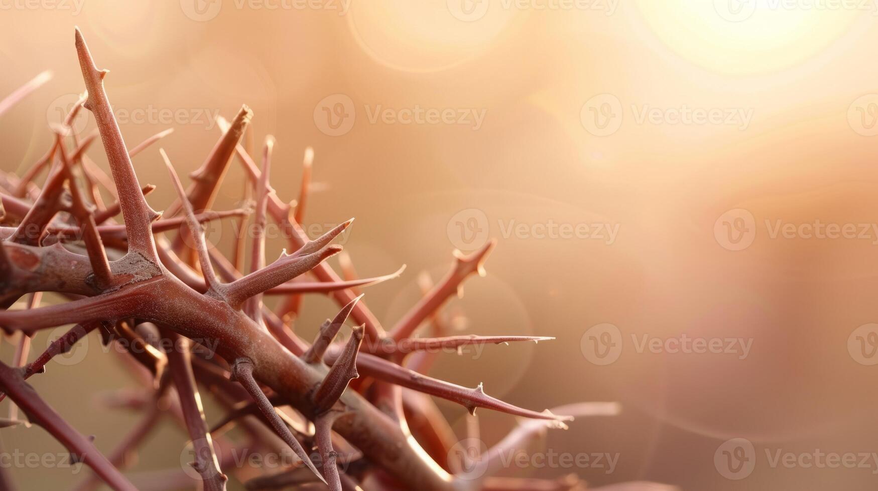 Crown of thorns Jesus christian photo, blank space, christian photo