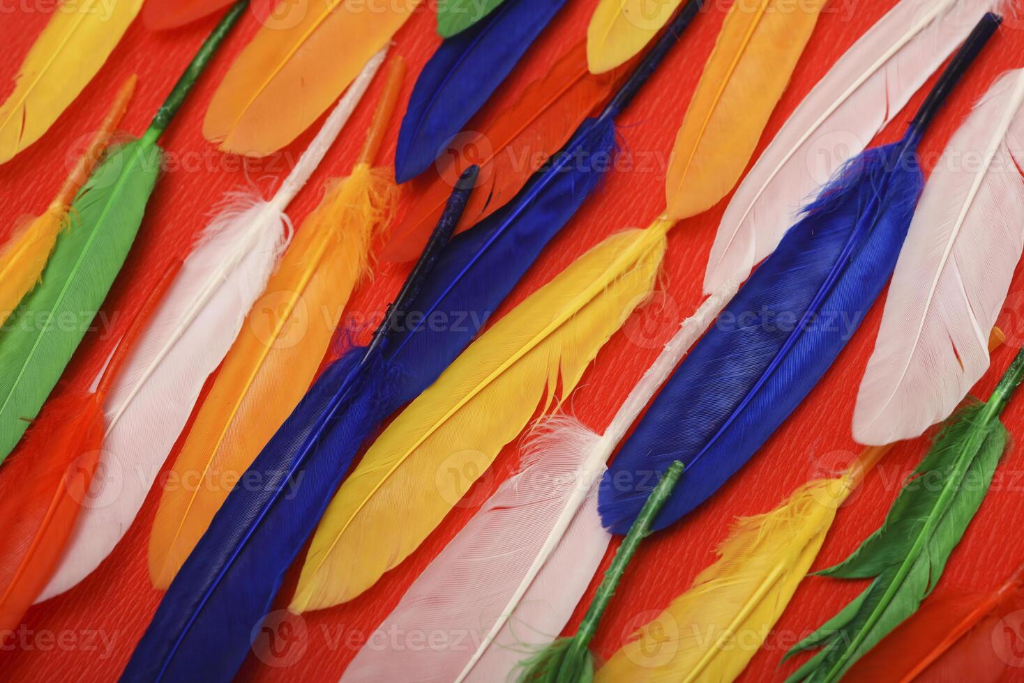 Festive feathers set against a ruby background. Decorative feathers. photo