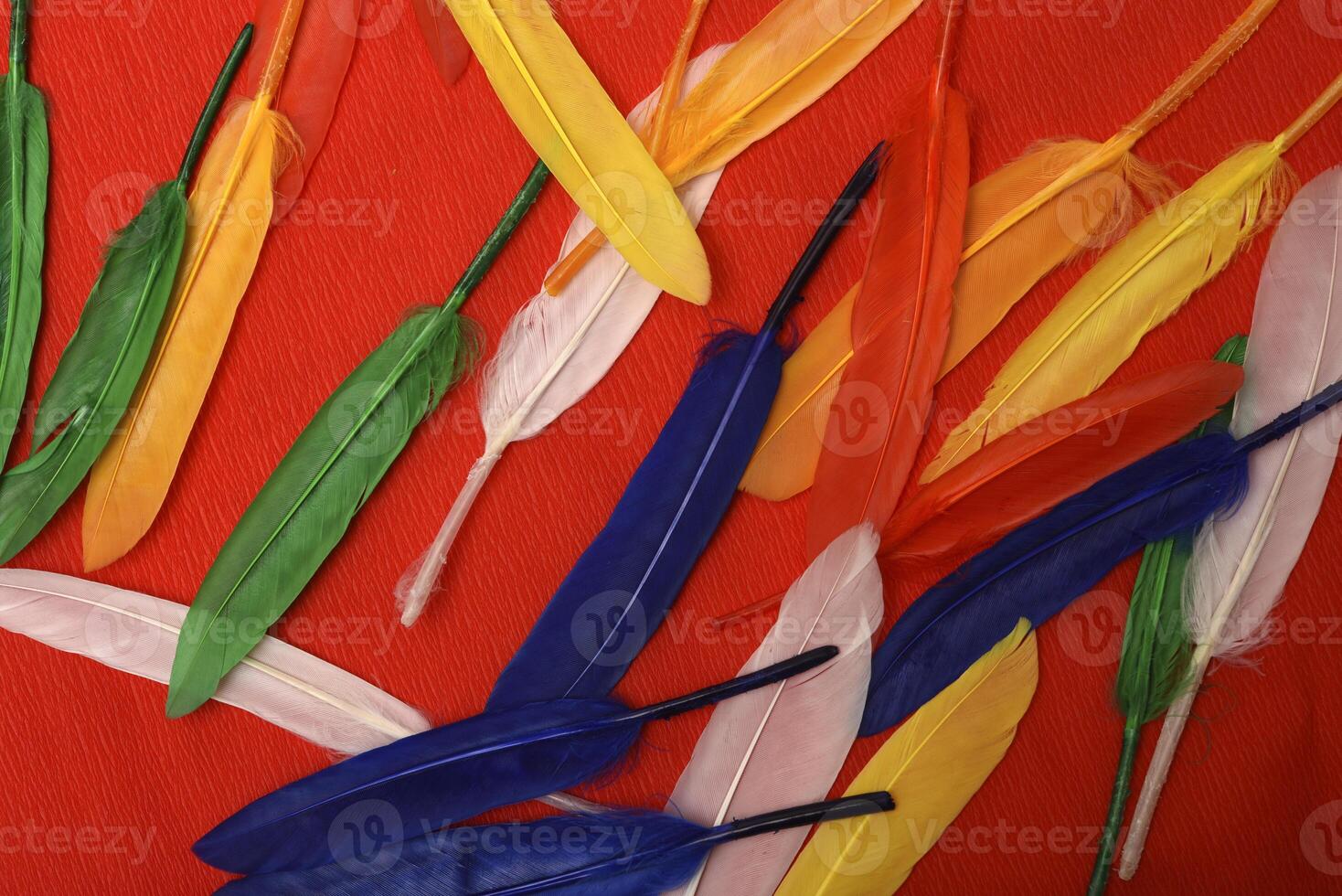 Colorful feathers on a red background. Decorative quills against a fiery red backdrop. photo