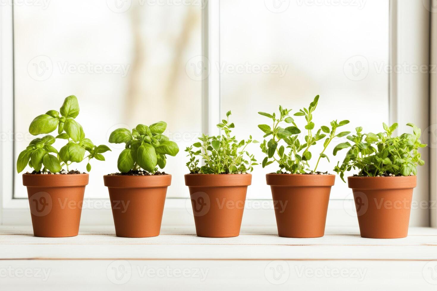 Freshly picked herbs line a sunlit kitchen windowsill in rustic pots. photo