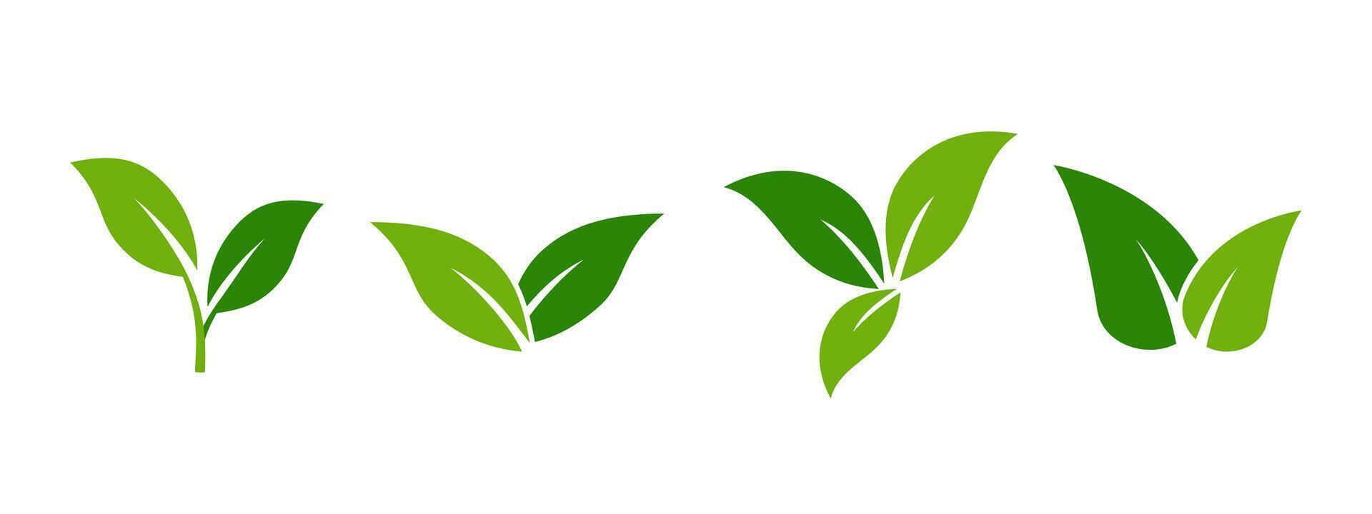 Green leaf icon with outline representing sustainability and nature. vector