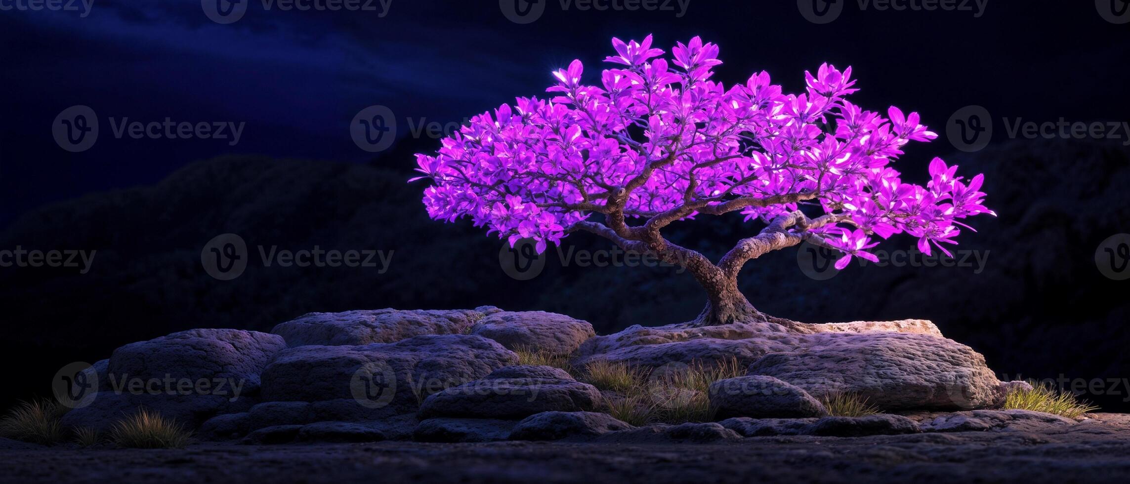 Glowing purple bonsai tree on rocks at night. photo
