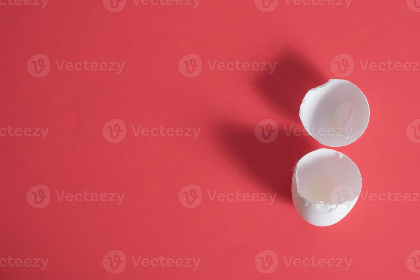 Two white eggs on a red background photo