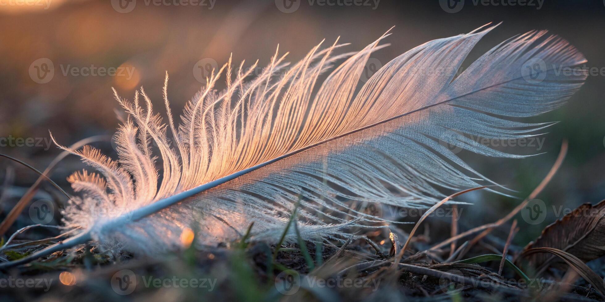 A feather intricate details in macro, showing the fine barbs and subtle color transitions, photo