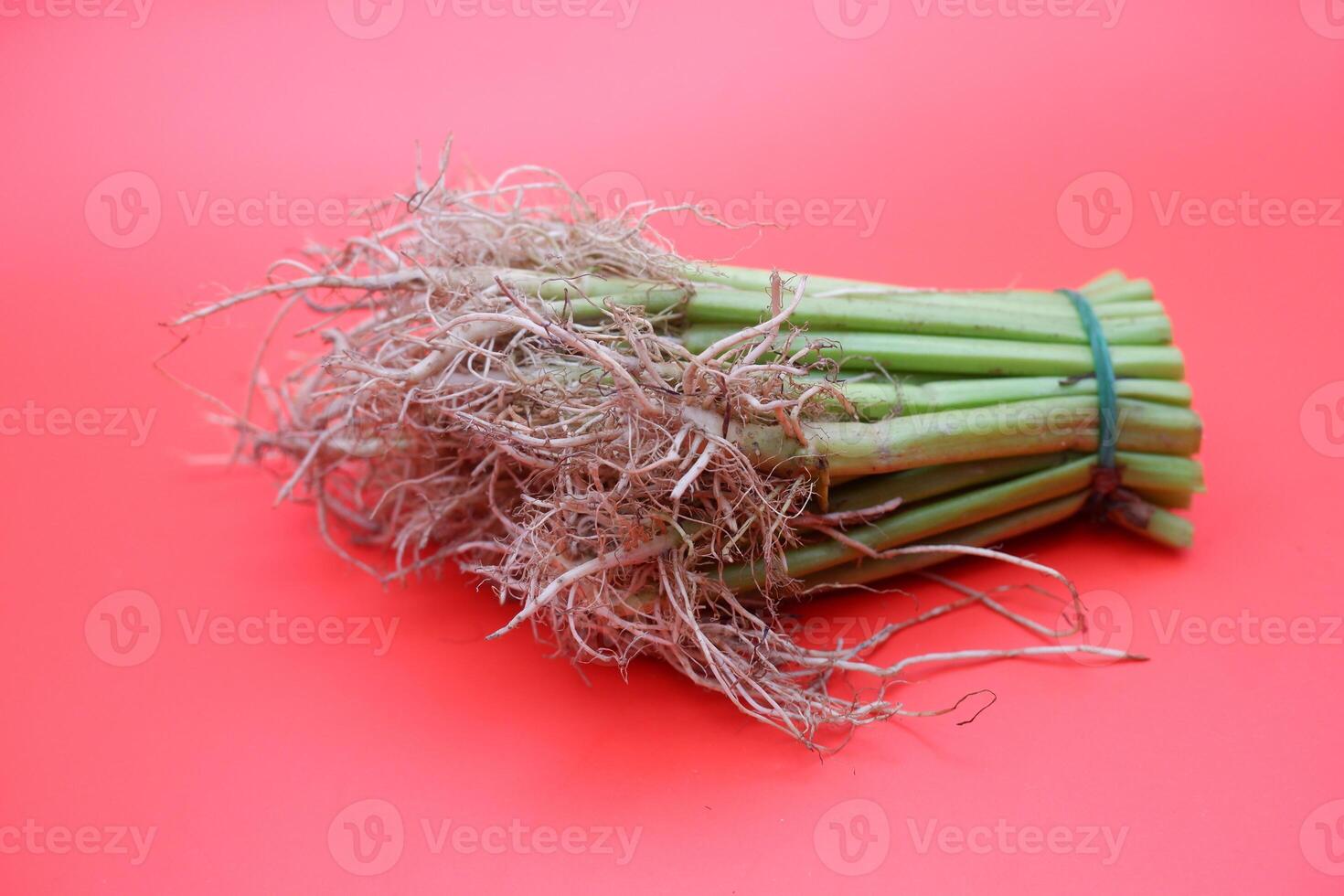 Partially Chopped Kangkung with Exposed Roots on Red Backdrop photo