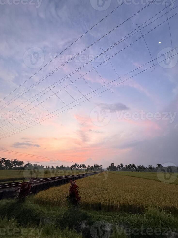 Ultra-Wide View of Power Lines and Vibrant Sunset Sky Over Rice Fields photo