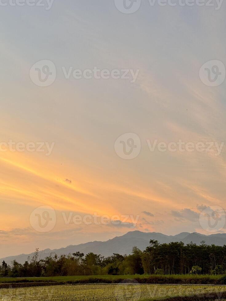 Serene Sunset Landscape with Mountains and Trees photo