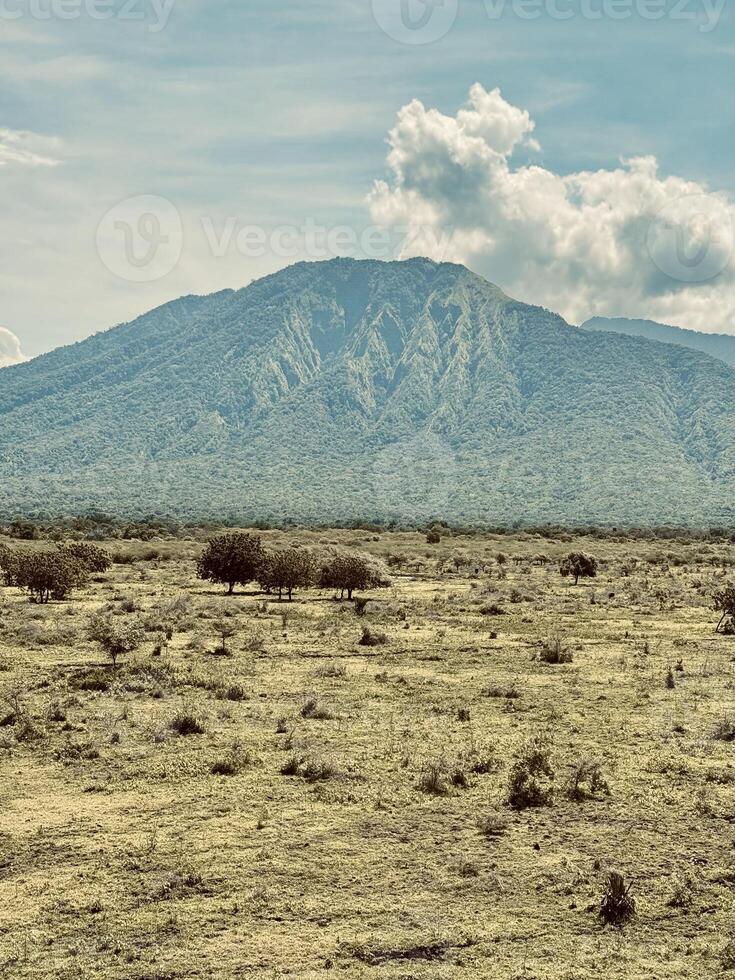 Large Savannah Landscape with Mountain and Clouds. Baluran National Park Situbondo. photo