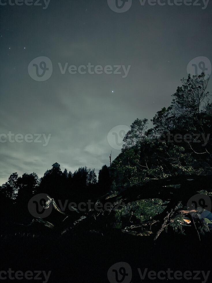 Serene Night Landscape with Silhouetted Trees. Ranu Regulo Semeru Lumajang photo