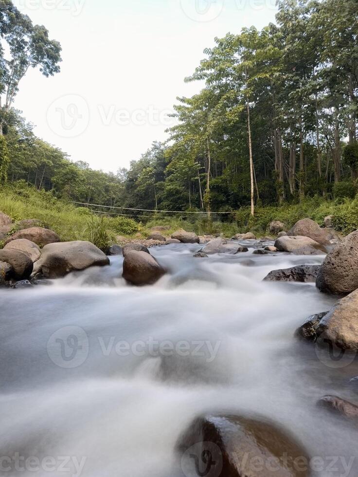 Serene River Flowing Through Lush Forest photo