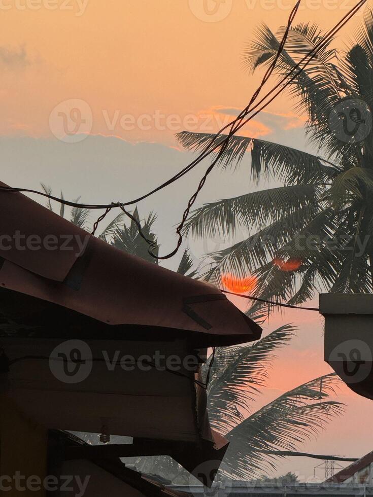 Tranquil Sunset with Silhouetted Palm Trees photo