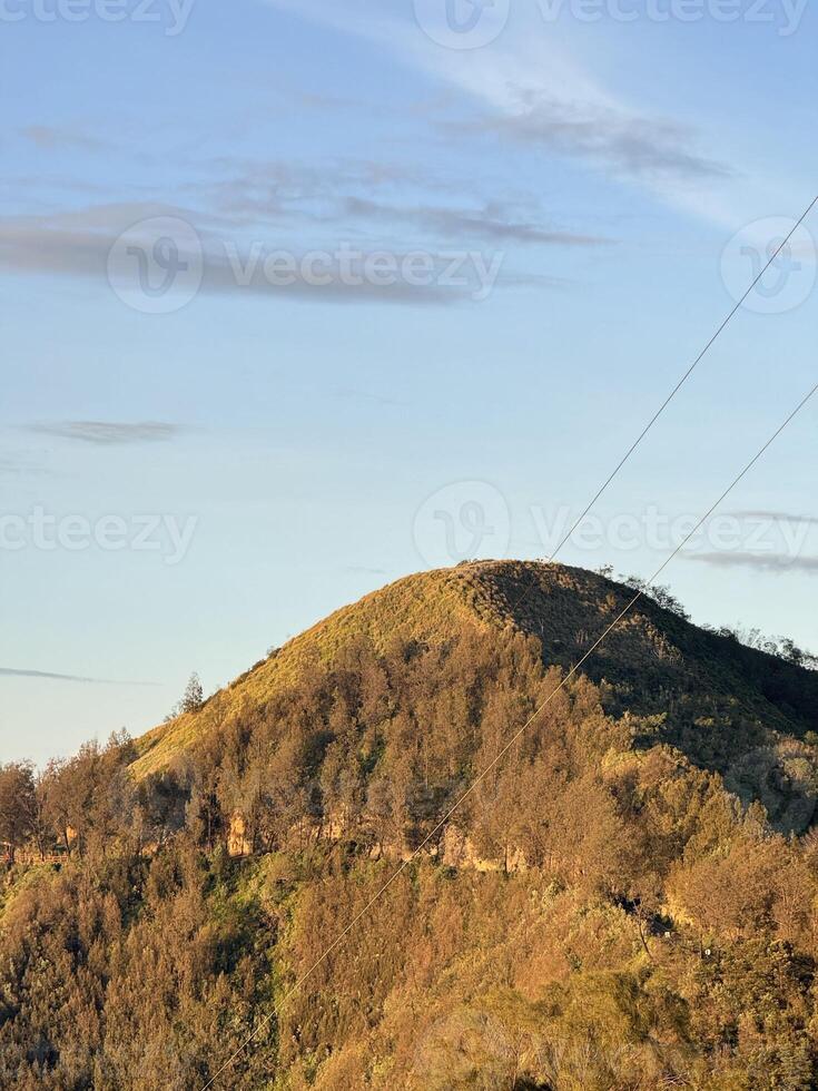Sunlit Hilltop with Lush Vegetation. Bromo National Park. photo