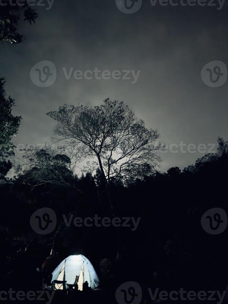 Glowing Tent in a Dark Forest at Night. Ranu Regulo Semeru Lumajang photo